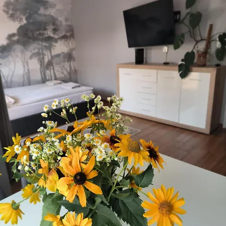 Apartament 25 Mikolajki Exterior foto
