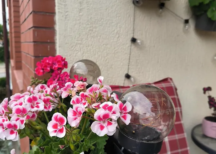 Apartament 25 Mikolajki