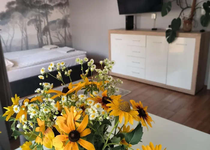 Apartament 25 Mikolajki