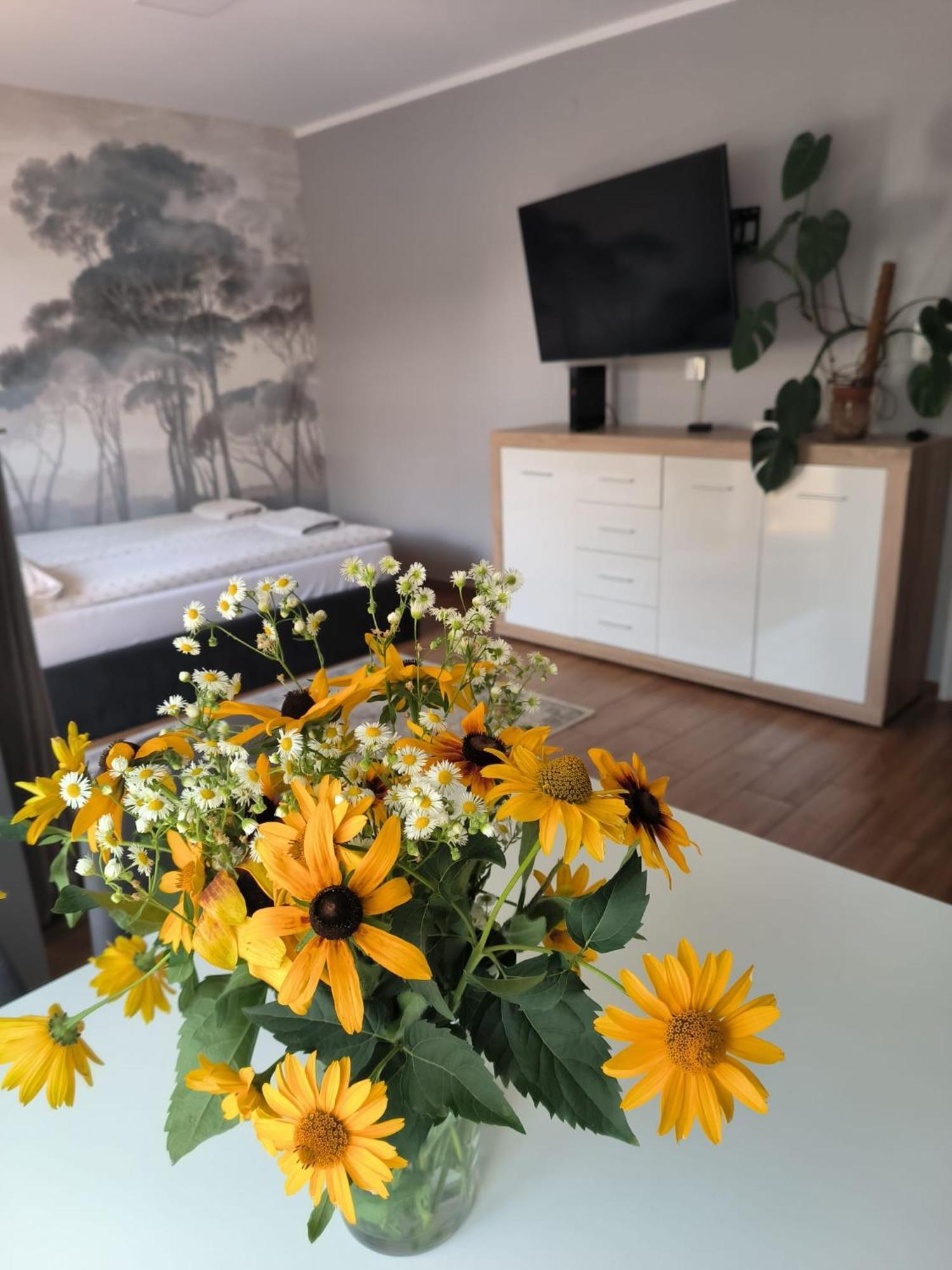 25 Apartment Mikolajki (Mragowo)